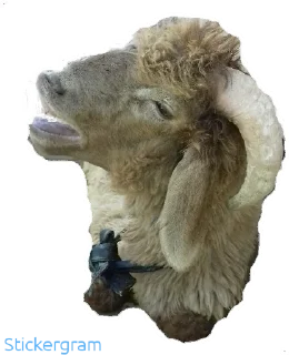 Sticker Бараш🐏(@muzika_dlya_mashina_877) - 6