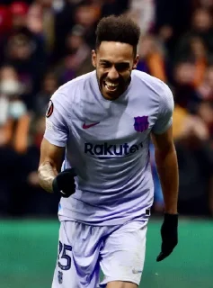 Sticker Barcelona Fans - 7