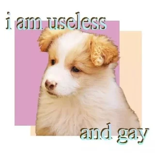 Sticker пиздец сабачки - 9