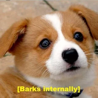 Sticker пиздец сабачки - 0