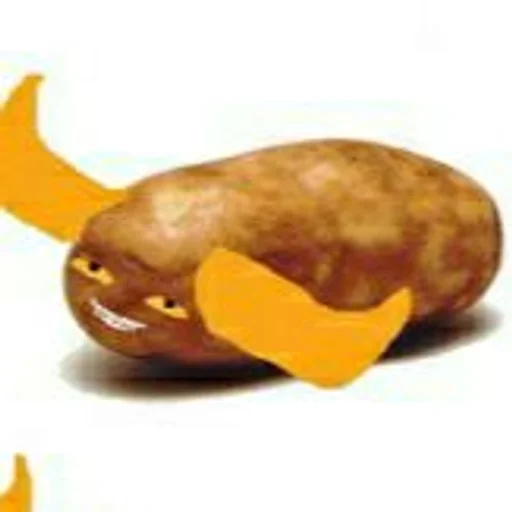 vegetable food potato