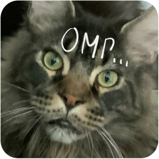 Sticker BaronMikhailChuuu - 1