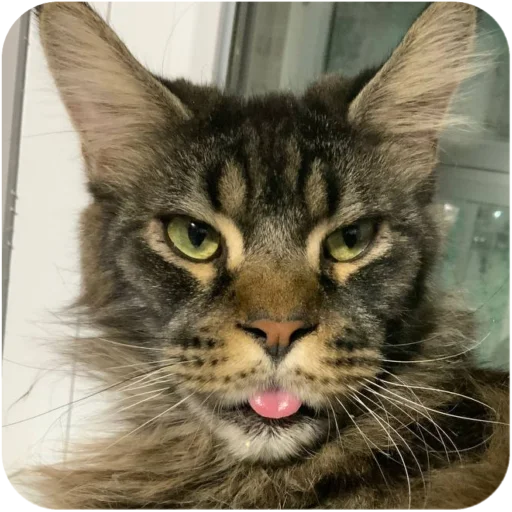 Стикер BaronMikhailChuuu - 1