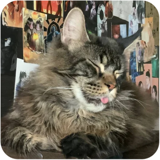 Sticker BaronMikhailChuuu - 1