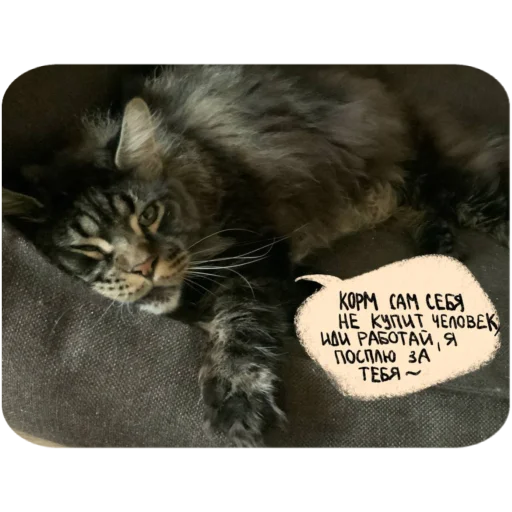 Стикер BaronMikhailChuuu - 1