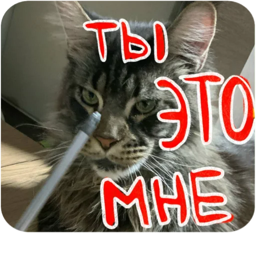 Стикер BaronMikhailChuuu - 1