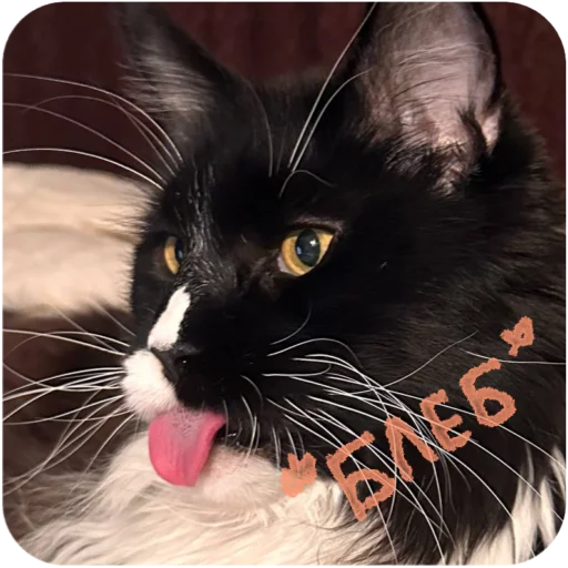 Sticker BaronMikhailChuuu - 1