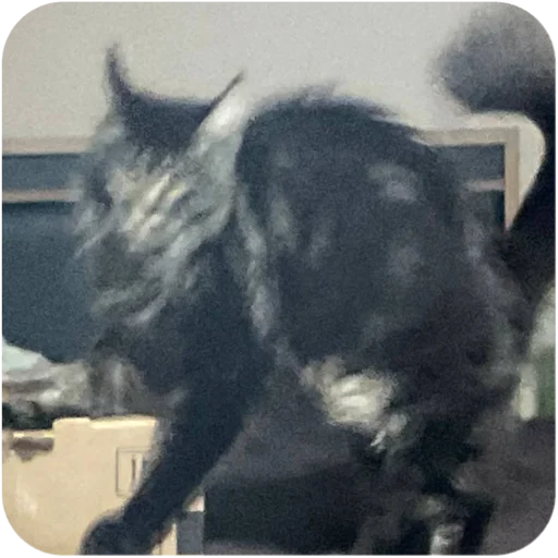 Sticker BaronMikhailChuuu - 1