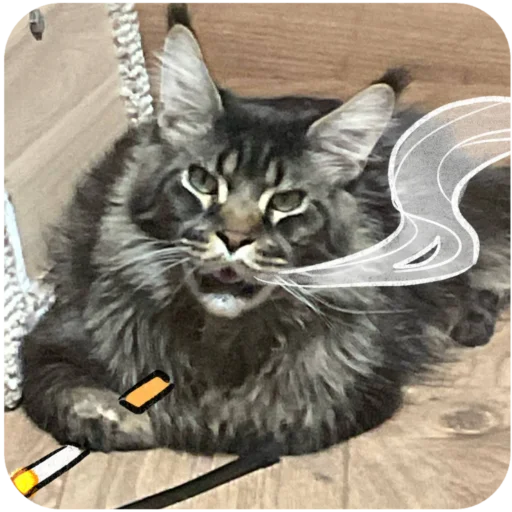 Sticker BaronMikhailChuuu - 1