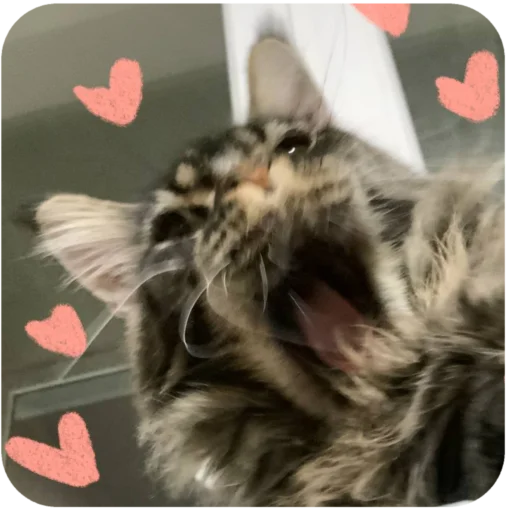 Sticker BaronMikhailChuuu - 1