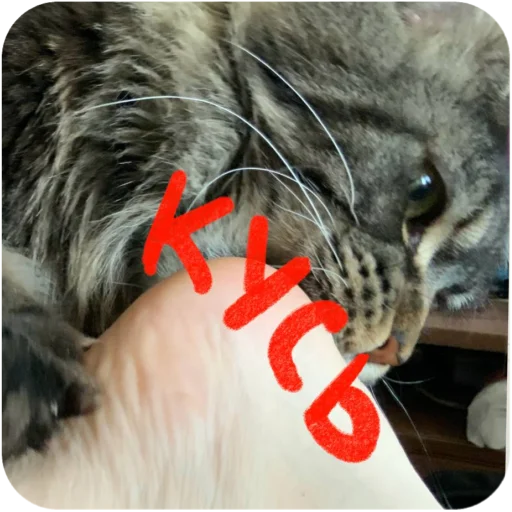 Sticker BaronMikhailChuuu - 1