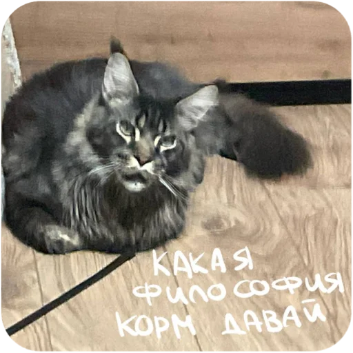 Sticker BaronMikhailChuuu - 1