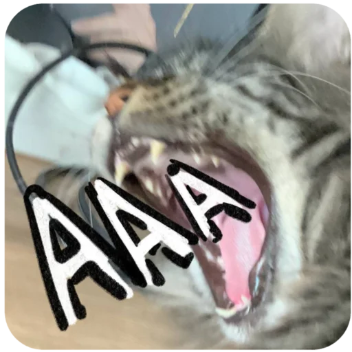 Sticker BaronMikhailChuuu - 1