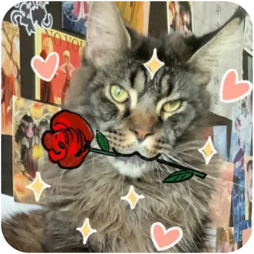 Борис и Миша ауф☝️🤙 - 