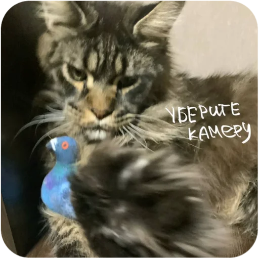 Sticker BaronMikhailChuuu - 1