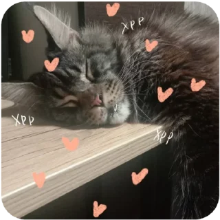 Sticker Борис и Миша ауф☝️🤙 - 6