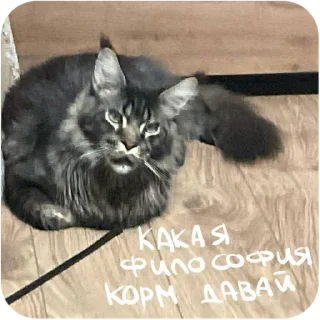 Sticker Борис и Миша ауф☝️🤙 - 5