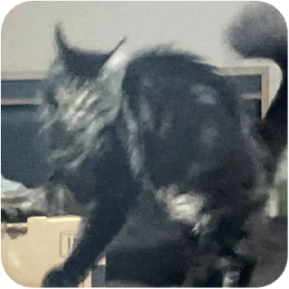 Sticker Борис и Миша ауф☝️🤙 - 11