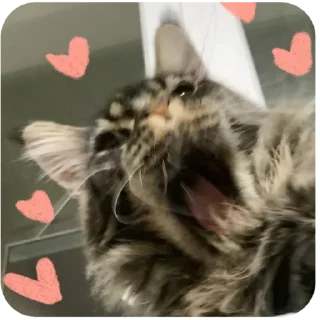 Sticker Борис и Миша ауф☝️🤙 - 8