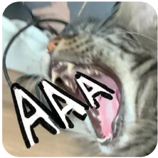 Sticker Борис и Миша ауф☝️🤙 - 4