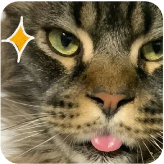 Sticker Борис и Миша ауф☝️🤙 - 1