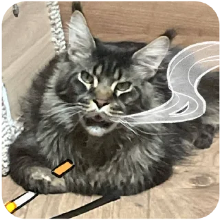 Sticker Борис и Миша ауф☝️🤙 - 10