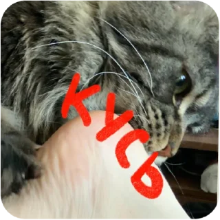 Sticker Борис и Миша ауф☝️🤙 - 7