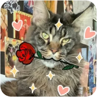 Sticker Борис и Миша ауф☝️🤙 - 2