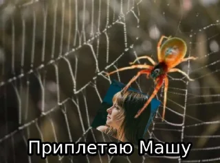 Sticker Барон это моя жизнь - 3