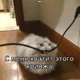 Sticker Барон это моя жизнь - 2