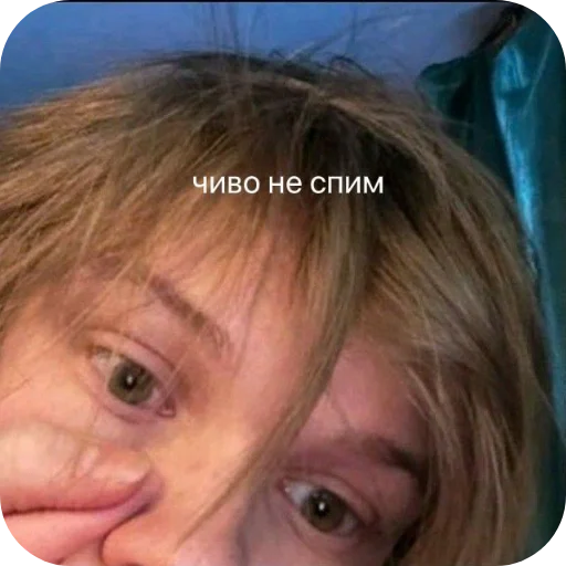 Sticker Barsiks9 - 1