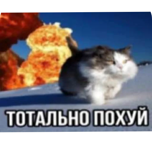 Стикер Barsiks9 - 1