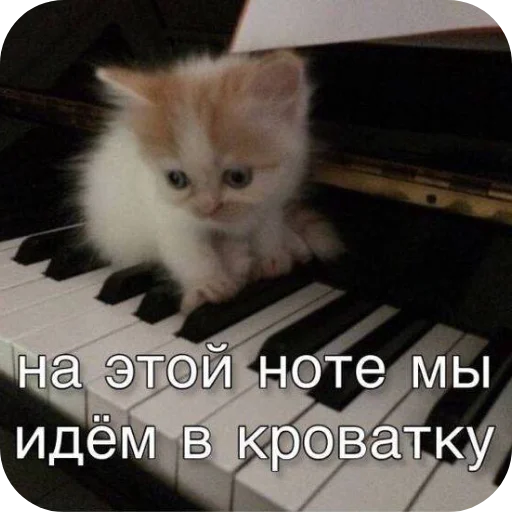 Sticker Barsiks9 - 1