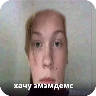 Sticker Барсикс - 5