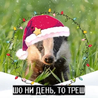 Sticker Барсук2024 - 9