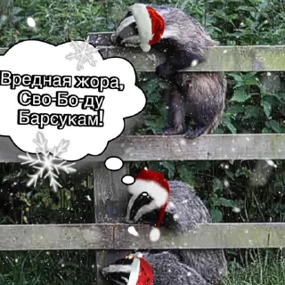 Sticker Барсук2024 - 6