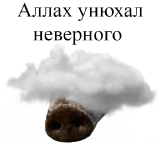 Стикер BASED by @vallholl - 6