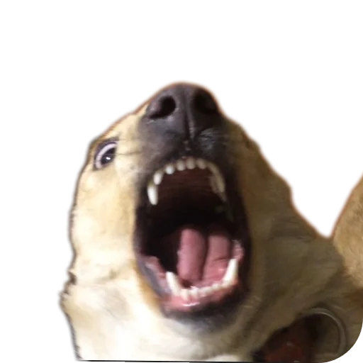 Стикер Basevoe - 1