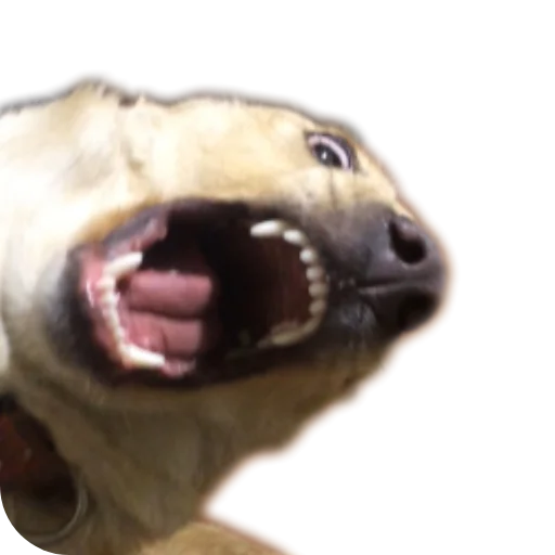 Стикер Basevoe - 1