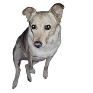 Sticker Басевое - 6