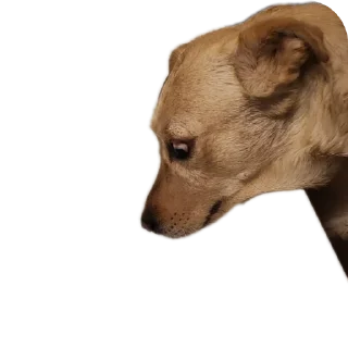 Sticker Басевое - 11