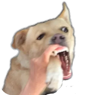 Sticker Басевое - 3