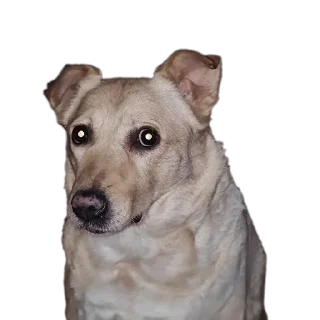 Sticker Басевое - 8