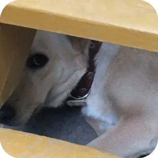 Sticker Басевое - 9