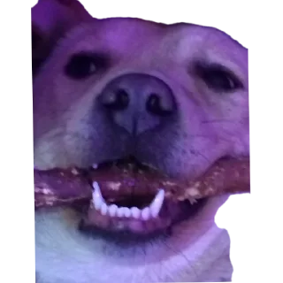 Sticker Басевое - 5