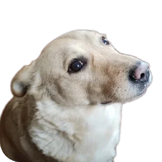 Sticker Басевое - 4