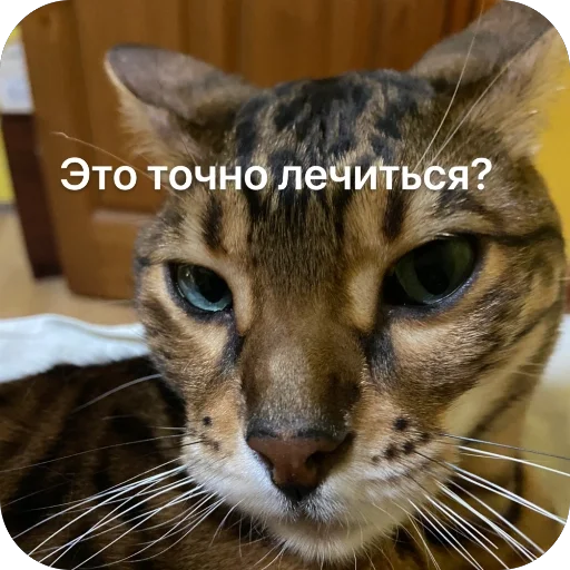 Sticker Basya972 - 1