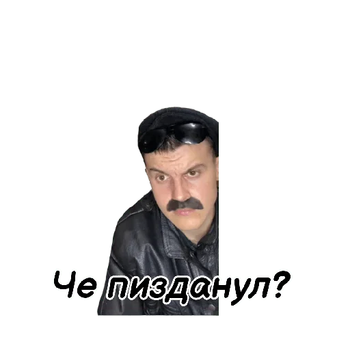 Стикер 🦁 Усатый Прайд 🦁 - 11