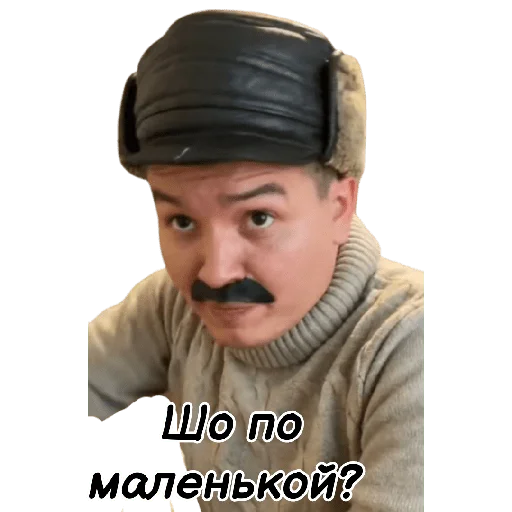 Стикер 🦁 Усатый Прайд 🦁 - 4