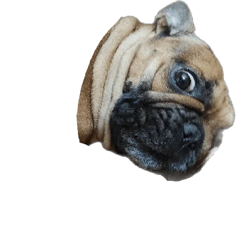 Sticker BattletoadsTF - 1